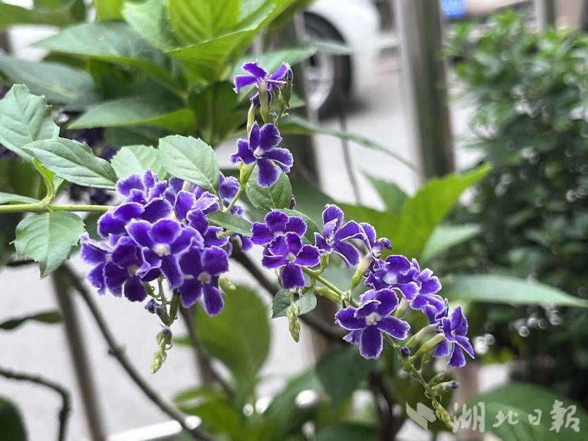 宝马策略网菠菜